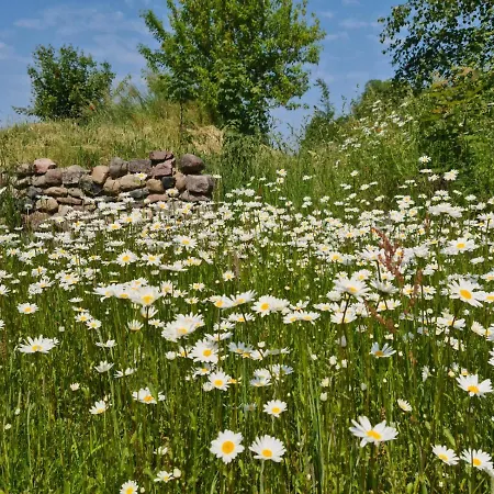 Restaurant Am Worns Berg Broock