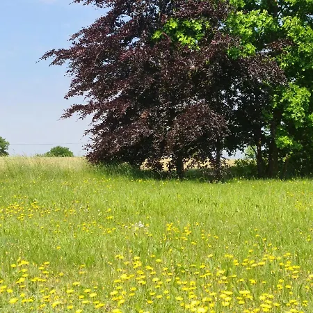 ホテル Restaurant Am Worns Berg